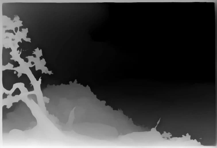 The depth the model inferred: pale is near, dark is far.